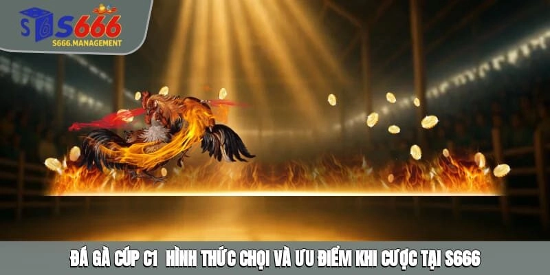 Đá Gà Cúp C1 – Khám Phá Sức Hút Của Các Trận Đấu Hot Nhất